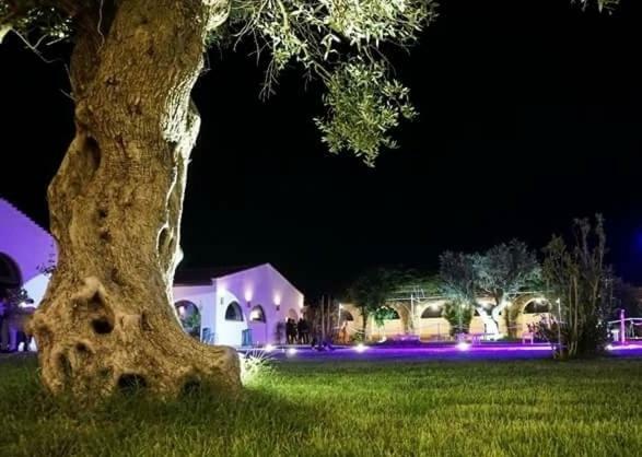 Masseria Colle Carro Ba07200451000019667 アルタムラ エクステリア 写真