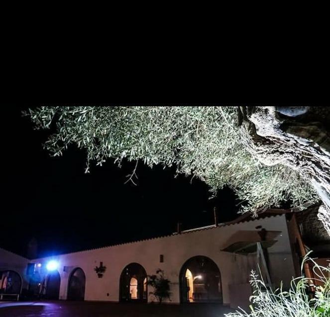 Masseria Colle Carro Ba07200451000019667 アルタムラ エクステリア 写真
