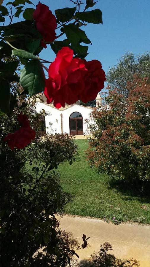 Masseria Colle Carro Ba07200451000019667 アルタムラ エクステリア 写真